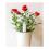 Flower Care Sensor Xiaomi HHCCJCY01HHCC White