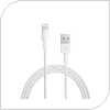 Kαλώδιο Apple MD818 USB A σε Lightning 1m Λευκό (Ασυσκεύαστο)