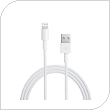 Kαλώδιο Apple MD818 USB A σε Lightning 1m Λευκό (Ασυσκεύαστο)