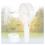 Handheld Fan Rechargeable Hand Portable Niaros Balu USB 5W Mini White
