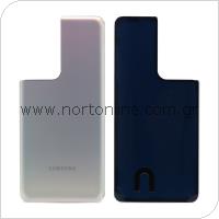 Battery Cover Samsung G998B Galaxy S21 Ultra 5G Silver (OEM)