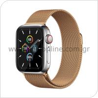 Strap Ahastyle WG42 Magnetic Stainless Steel Apple Watch (42/ 44/ 45mm) Rosegold