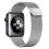 Strap Ahastyle WG42 Magnetic Stainless Steel Apple Watch (42/ 44/ 45mm) Silver